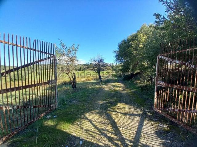 Terreno in vendita a Ispica, Sicilia