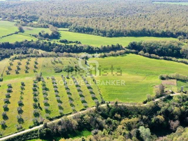 Terreno in vendita a Ischia di Castro, Viterbo