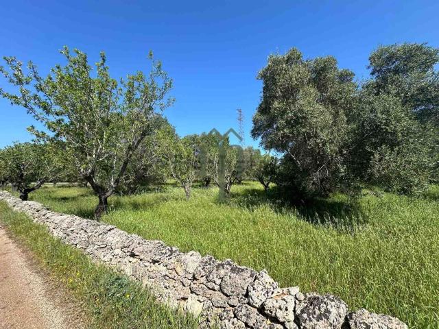 Terreno in vendita a Contrada Spierti, Puglia