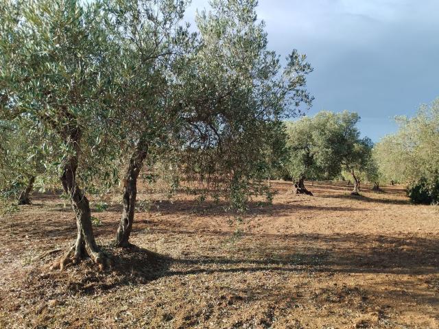 Terreno in vendita a Torre dei Gesuiti, Mazara Del Vallo