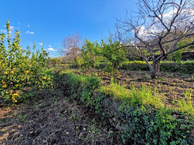 Terreno in vendita a Mascali, Sicilia