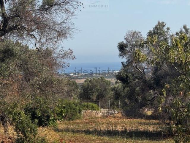 Terreno in vendita a Puglia, Brindisi