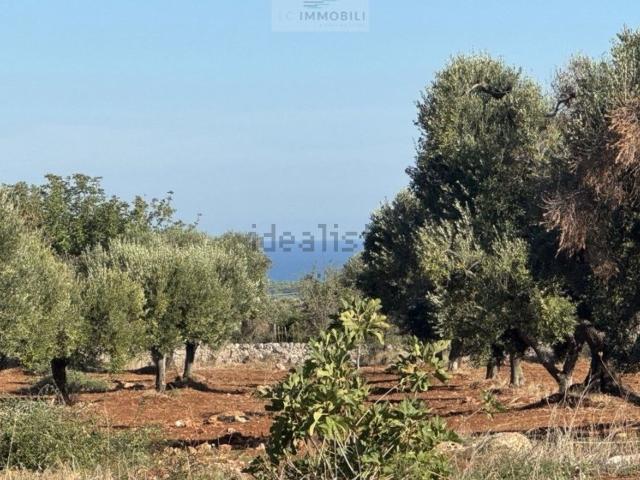 Terreno in vendita a Puglia, Brindisi