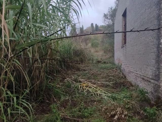 Terreno in vendita a Spadafora, Sicilia