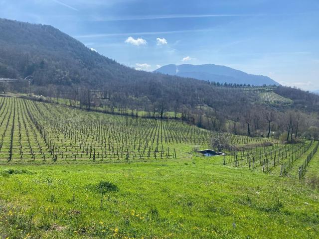 Terreno in vendita a Parolise, Campania