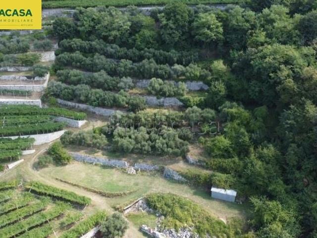 Terreno in vendita a Negrar, Veneto
