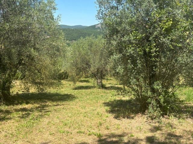 Terreno in vendita a Archileggi, Amelia