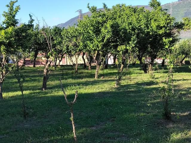 Terreno in vendita a San Michele Di Serino, Campania