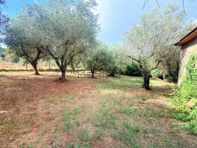 Terreno in vendita a Montefiascone, Lazio