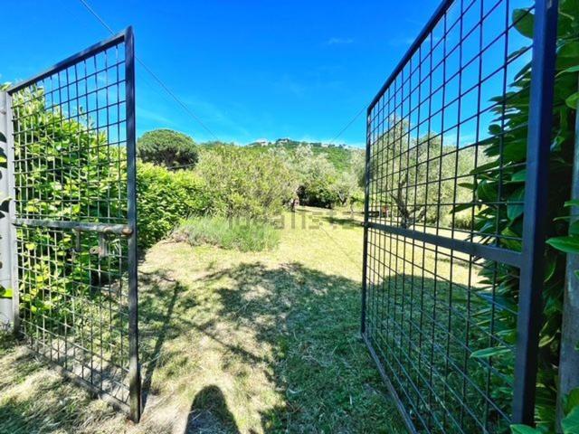 Terreno in vendita a Montefiascone, Lazio
