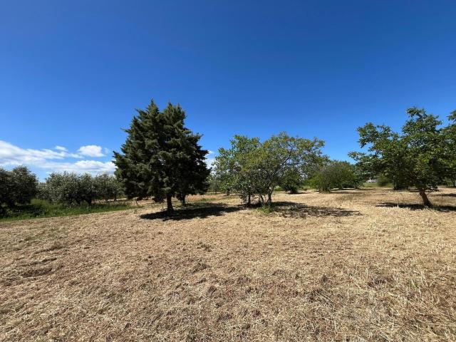 Terreno in vendita a Piane Sant'Angelo, San Salvo