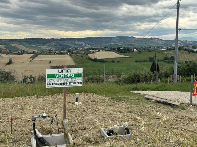 Terreno in vendita a Santa Petronilla, Marche