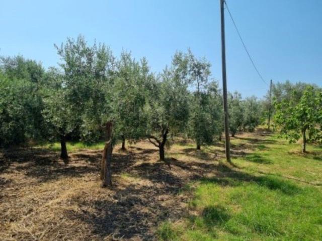 Terreno in vendita a Torre Le Nocelle, Campania