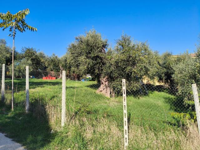 Terreno in vendita a Fara Sabina, Lazio