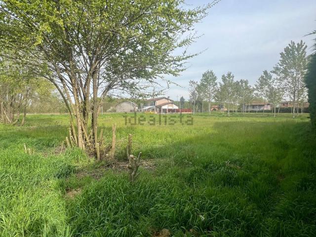 Terreno in vendita a Cerea, Veneto
