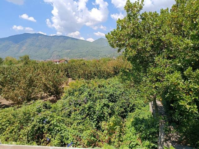 Terreno in vendita a Montoro, Campania