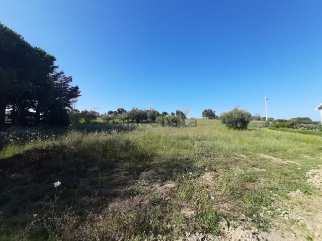 Terreno in vendita a Verdefiore I, Appignano