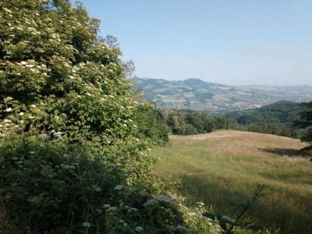 Terreno in vendita a Alta Val Tidone, Nibbiano