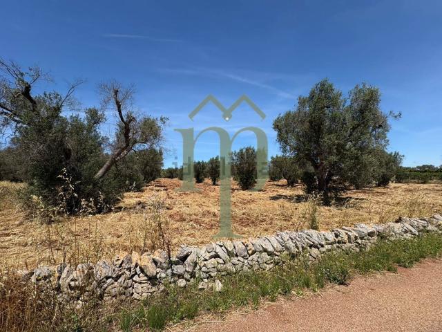 Terreno in vendita a Puglia, Brindisi