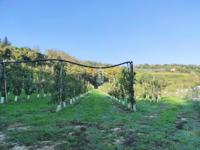 Terreno in vendita a Quartiere Rubicone, Cesena