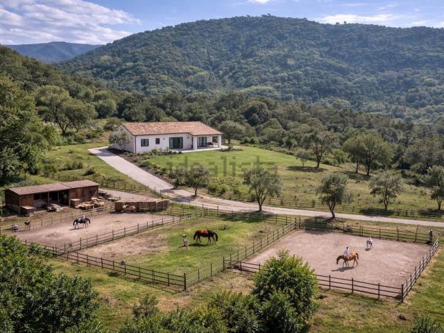 Terreno in vendita a Dolceacqua, Liguria