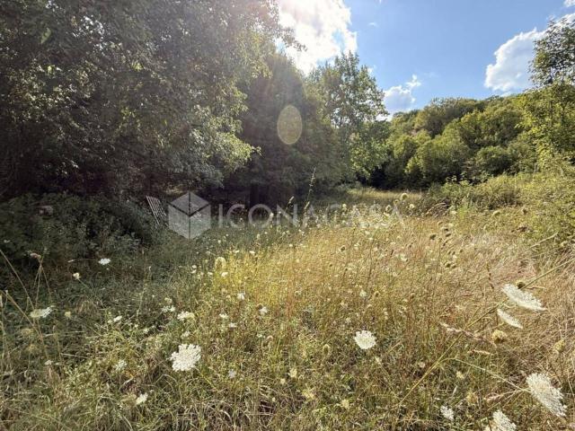 Terreno in vendita a Alfedena, L'Aquila