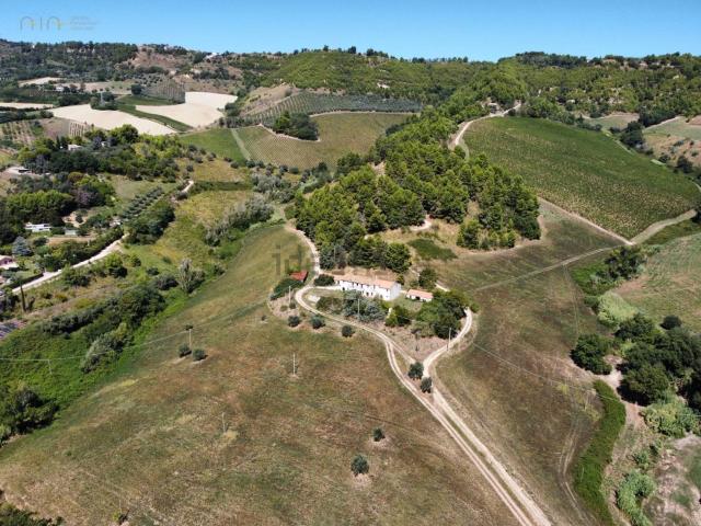 Terreno in vendita a San Salvatore, Marche