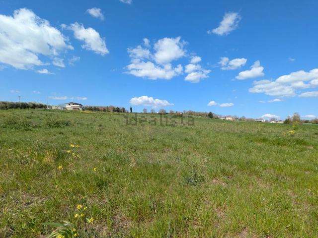 Terreno in vendita a Pietrelcina, Campania