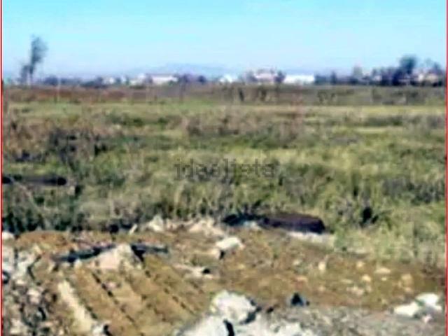 Terreno in vendita a Nogara, Veneto