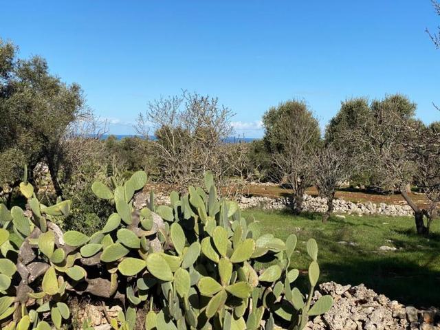 Terreno in vendita a Puglia, Brindisi