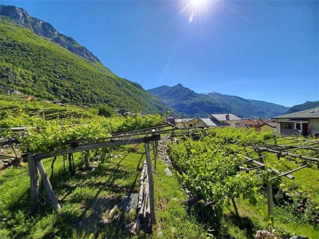 Terreno in vendita a Donnas, Aosta