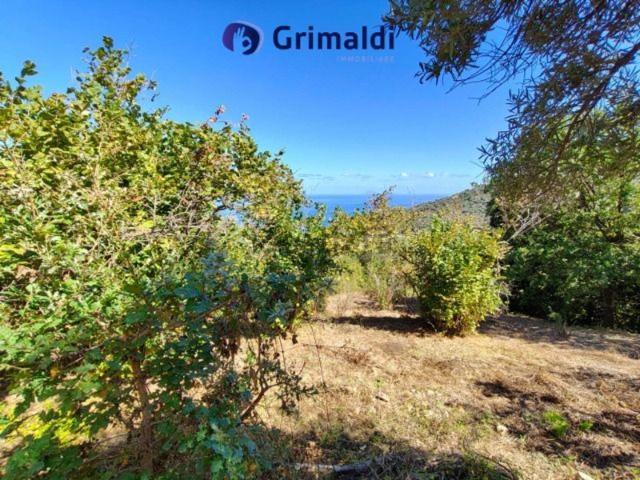 Terreno in vendita a Motta D'affermo, Sicilia