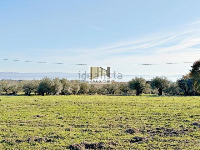 Terreno in vendita a San Lorenzo Nuovo, Lazio