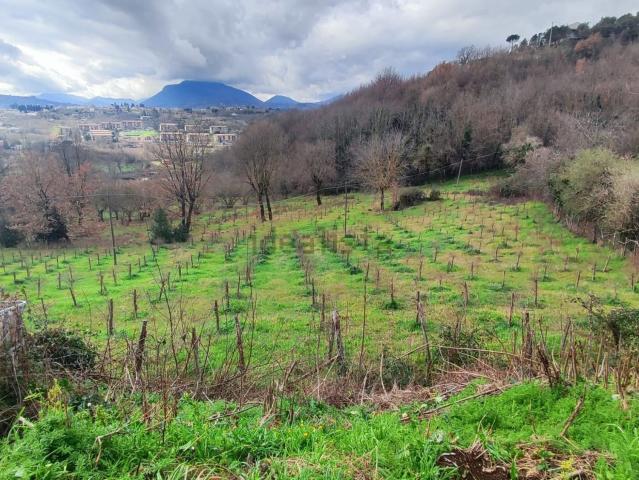Terreno in vendita a Atripalda, Campania