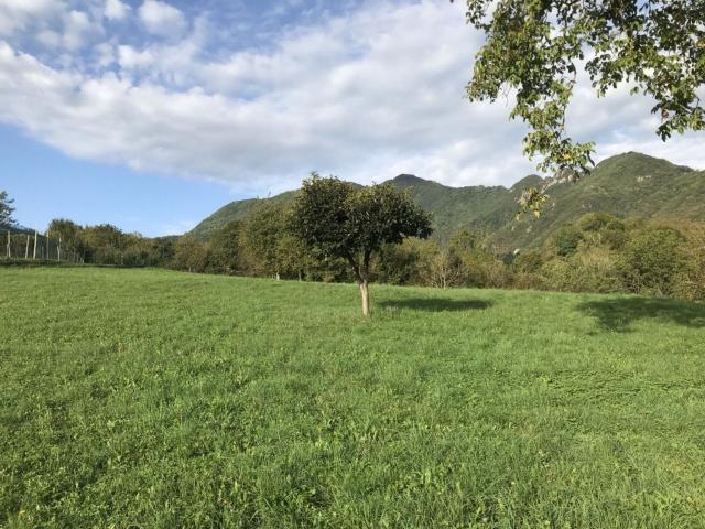 Terreno in vendita a Valdagno, Veneto