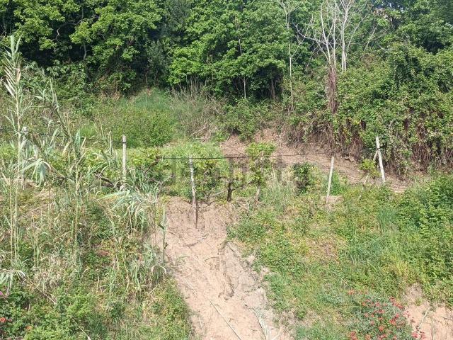 Terreno in vendita a Calabria, Cosenza