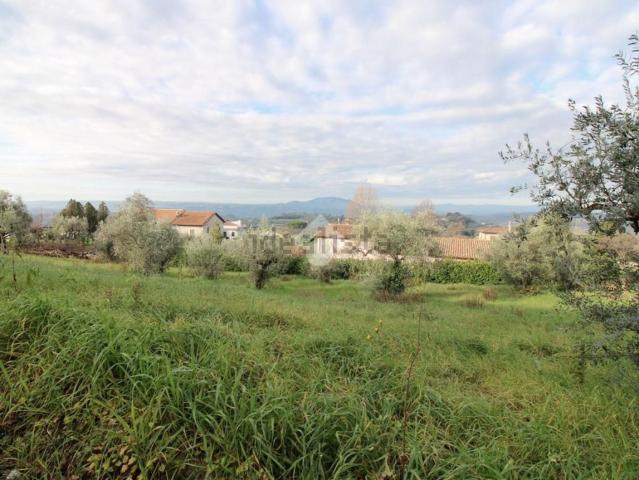 Terreno in vendita a Poggio Mirteto, Lazio