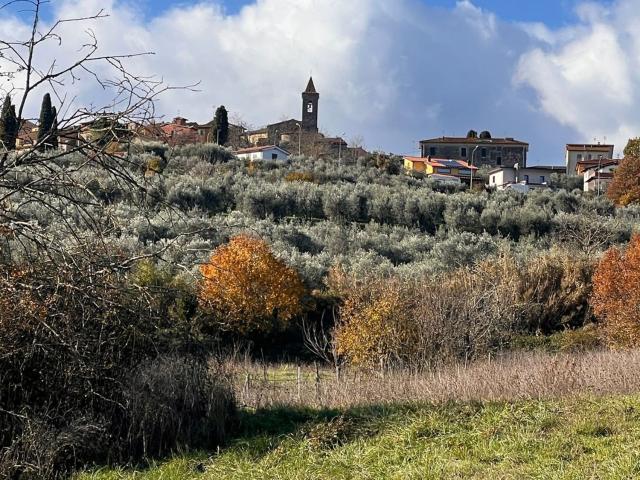 Terreno in vendita a Laterina Pergine Valdarno, Pergine Valdarno