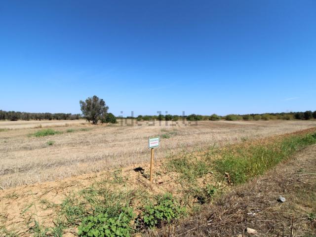 Terreno in vendita a Puglia, Brindisi