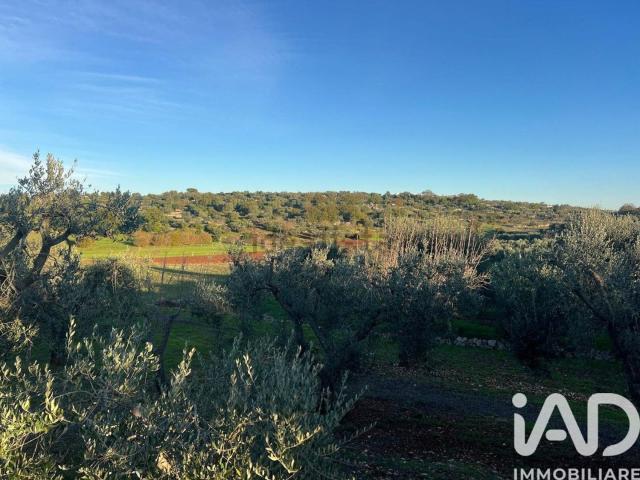 Terreno in vendita a Puglia, Brindisi