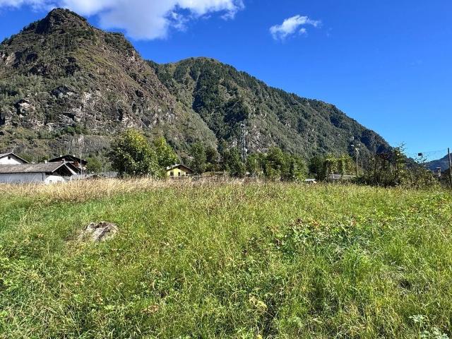 Terreno in vendita a Bannio Anzino, Piemonte