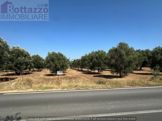 Terreno in vendita a Puglia, Taranto