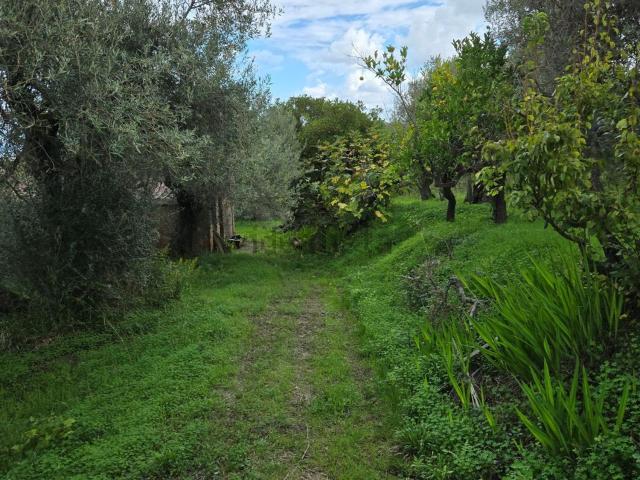 Terreno in vendita a Pace Del Mela, Sicilia