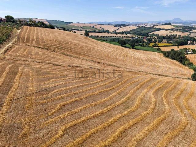 Terreno in vendita a Borgo Minonna, Marche