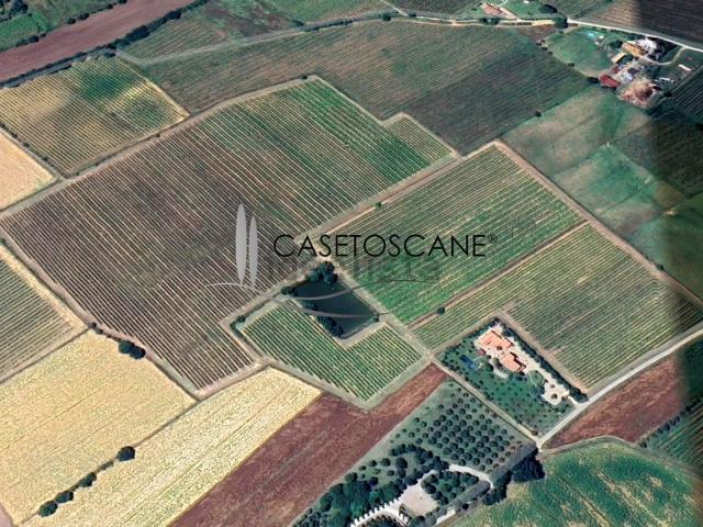 Terreno in vendita a Cortona, Toscana