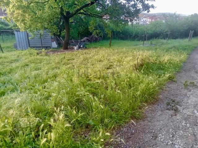 Terreno in vendita a Monte Romano, Lazio