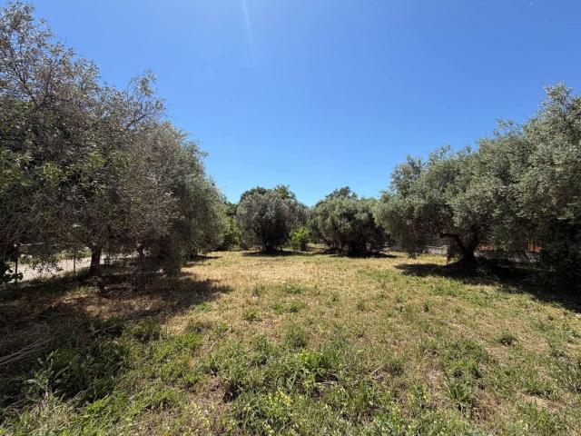 Terreno in vendita a Piana del Lago, Casalbordino