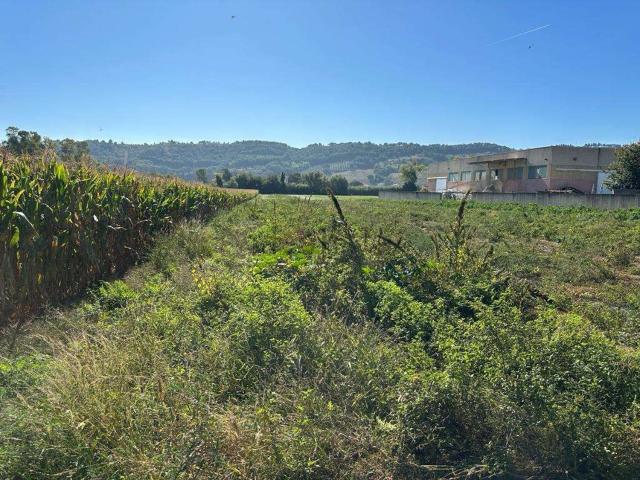 Terreno in vendita a Marche, Fermo