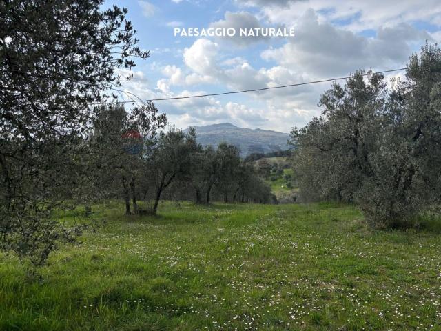 Terreno in vendita a Roccastrada, Toscana