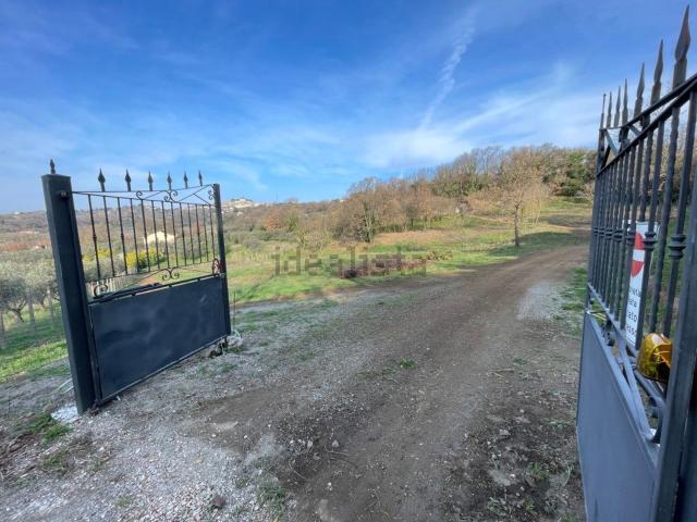 Terreno in vendita a Montefiascone, Lazio